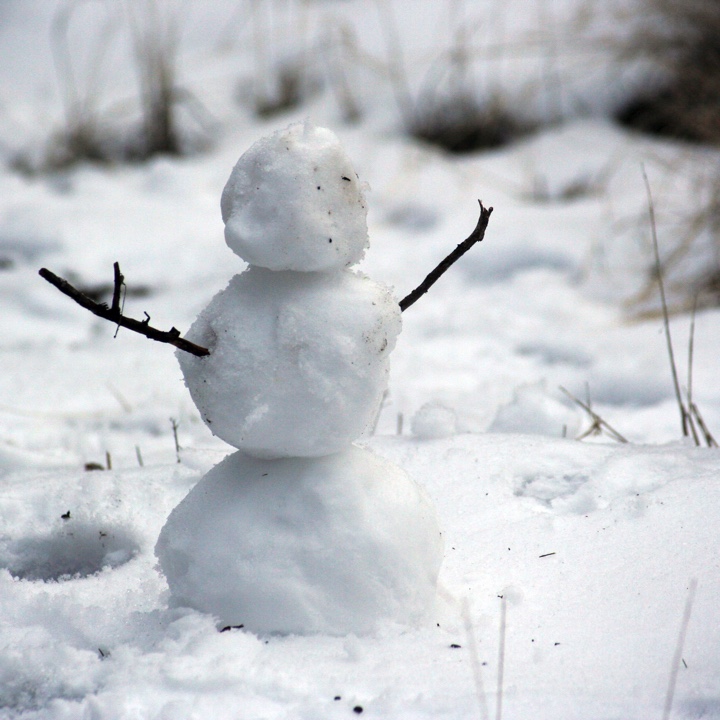 A little snowman.